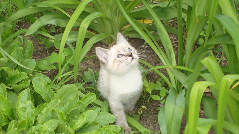 Евгения Артемьева | 