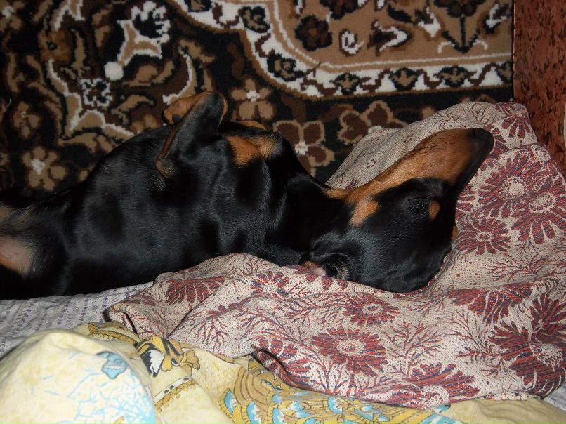 Надежда Сукачёва | Пестравка