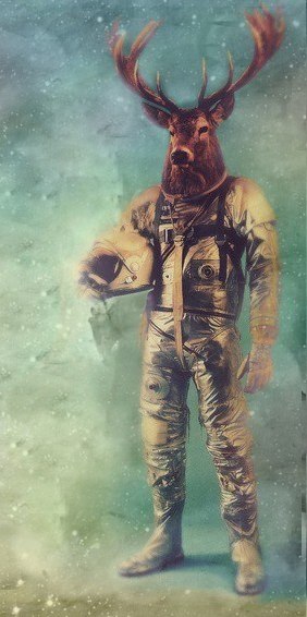 Валерий Мохноёбов « | Красноярск