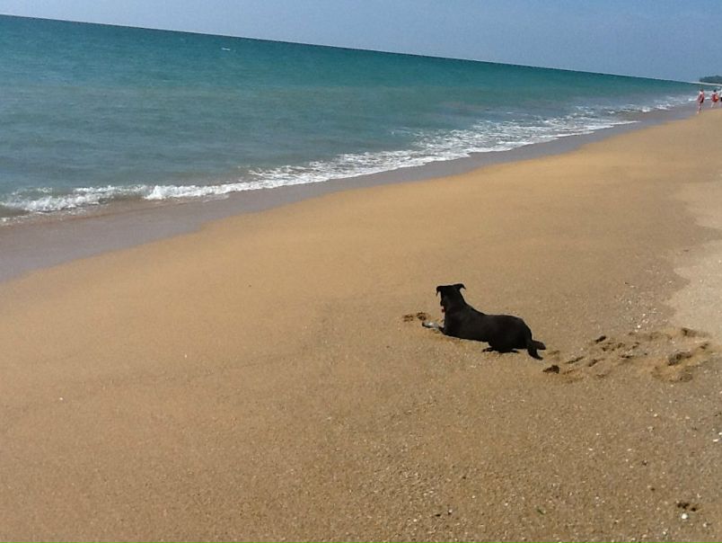 №41, Евгения Березовская, 40 лет, Самара №41, Евгения Березовская, 40 лет, Самара