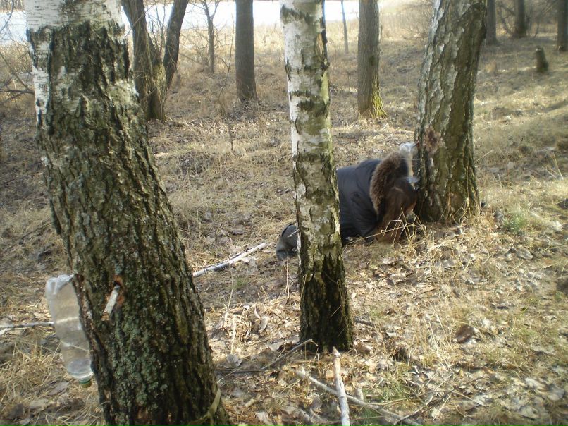 Дарья Сытник КиИиииися %) | Сумы