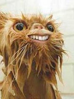 Сергей Александров | Новогрудок