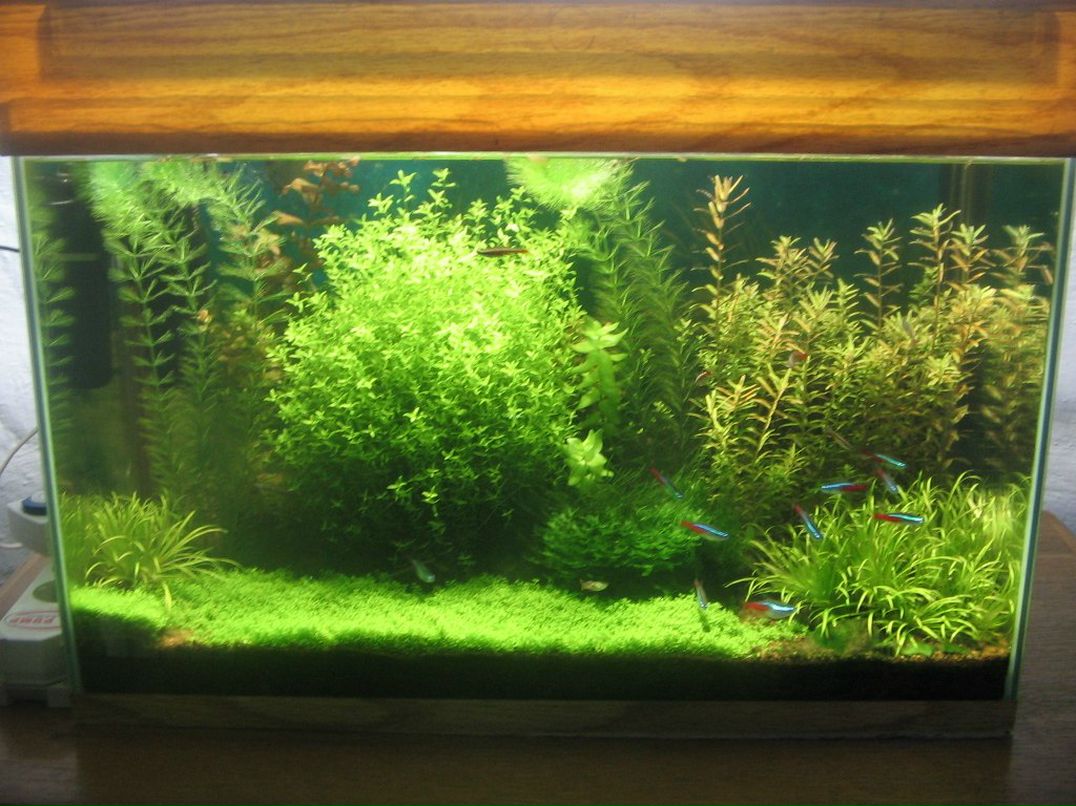 Зульфат Бабаев ℂ⋆ | Тюмень