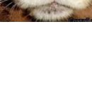 Татьяна Яроцкая | Днепр (Днепропетровск)