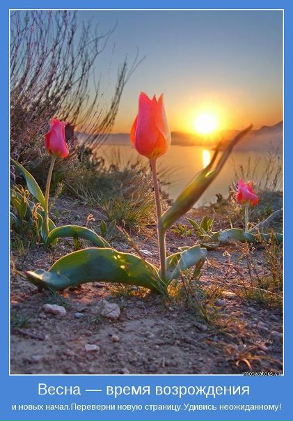 №81, Наталия Масловская, Брест №81, Наталия Масловская, Брест