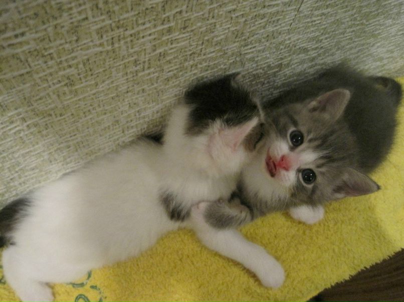 Наталья Кожевникова | Санкт-Петербург