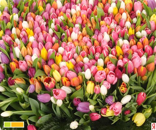 Юлия Болоховец | Днепр (Днепропетровск)