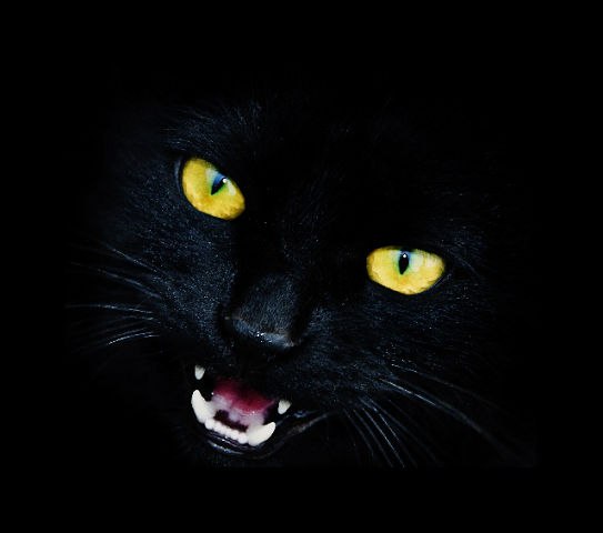 Лександра Кандалинцева | Одесса