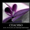 Аватар: Надежда Кичмарева