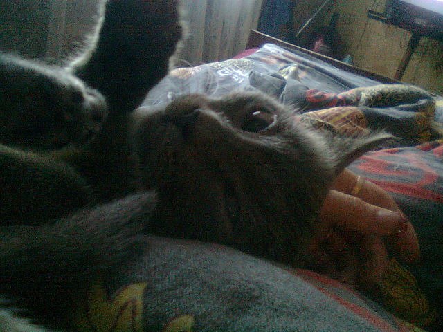 Настя Филиппова | Ессентуки