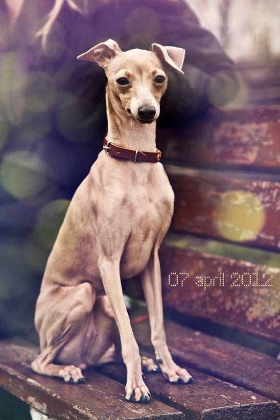 Татьяна Порядченко | Киев