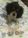 №38 Нейра Вулф 03.07: профиль, фото, статус - ВКонтакте №38 Нейра Вулф 03.07: профиль, фото, статус - ВКонтакте