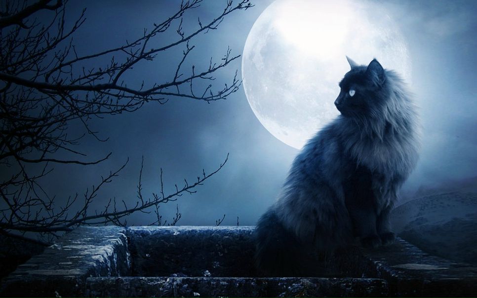 №159, Ксения Артёмова, Ровеньки №159, Ксения Артёмова, Ровеньки