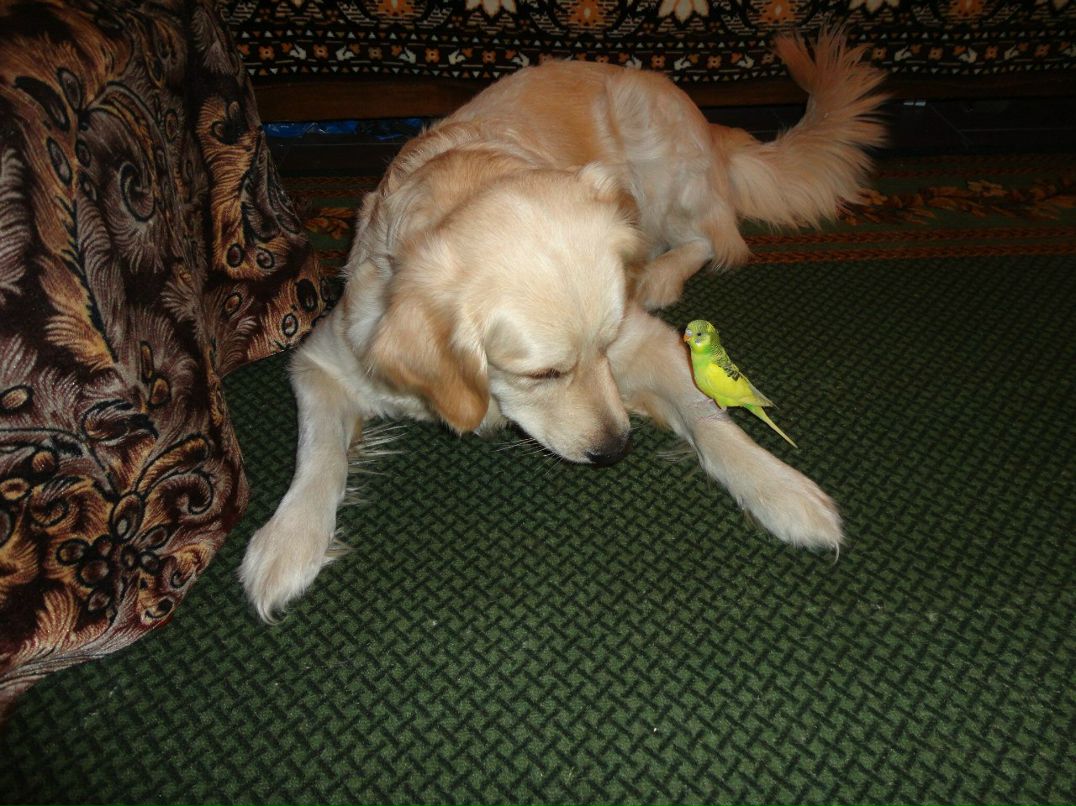 Юлия Беляева | Донецк