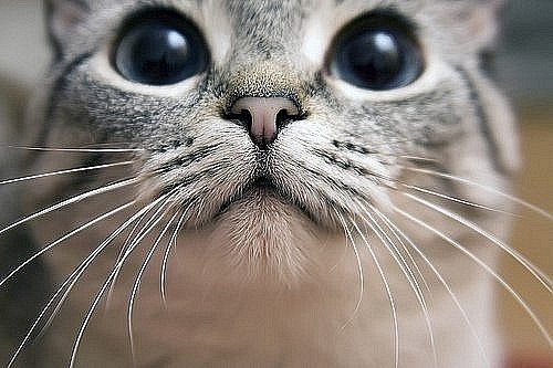 Евгений Анишин | Москва