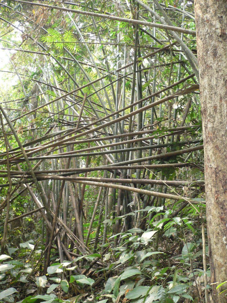 Степан Китаев | Москва