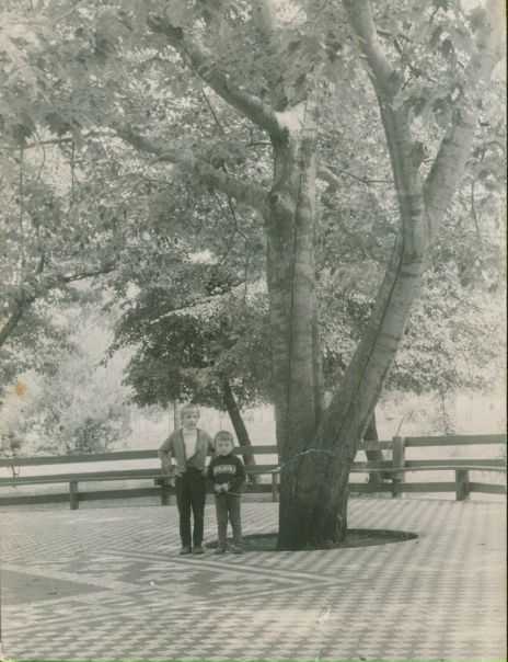 №46, Юрась Дзяшук, Березовка №46, Юрась Дзяшук, Березовка