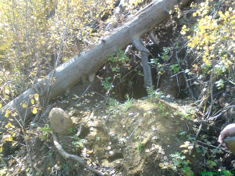 Кирилл Григоренко | Нижнеудинск