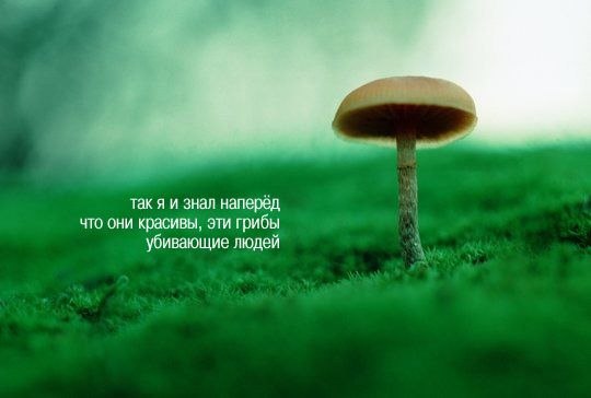 Елена Москвина | Ухта