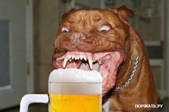 Василий Савенко | Брянск