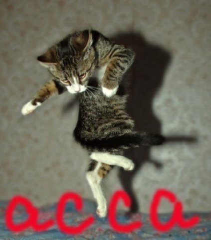 №71, Вероника Ермишина, 28 лет, Муром №71, Вероника Ермишина, 28 лет, Муром