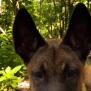 №162, Катёнка Морозова, 36 лет, Калуга №162, Катёнка Морозова, 36 лет, Калуга