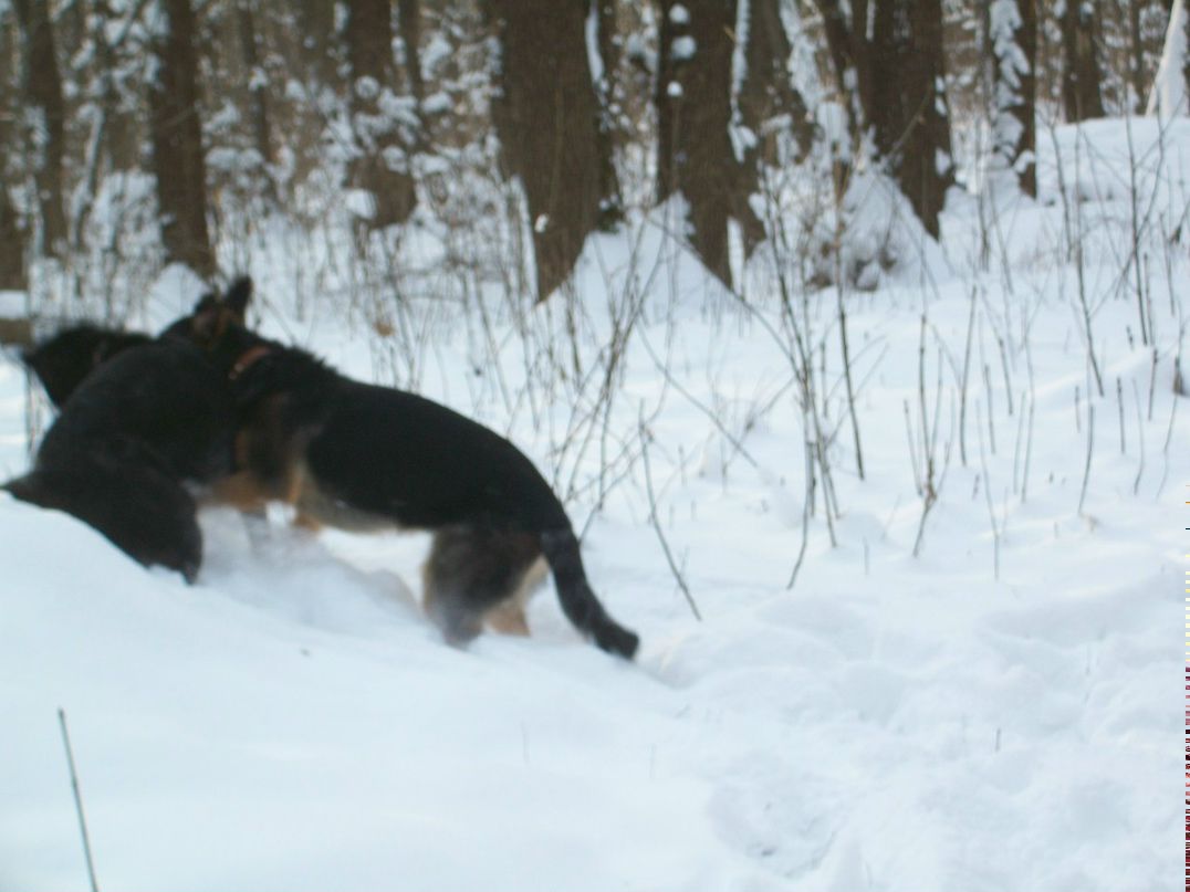 Зинаида Чернышова | Полтава