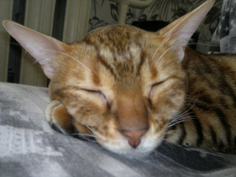 Екатерина Полякова | Нижний Тагил