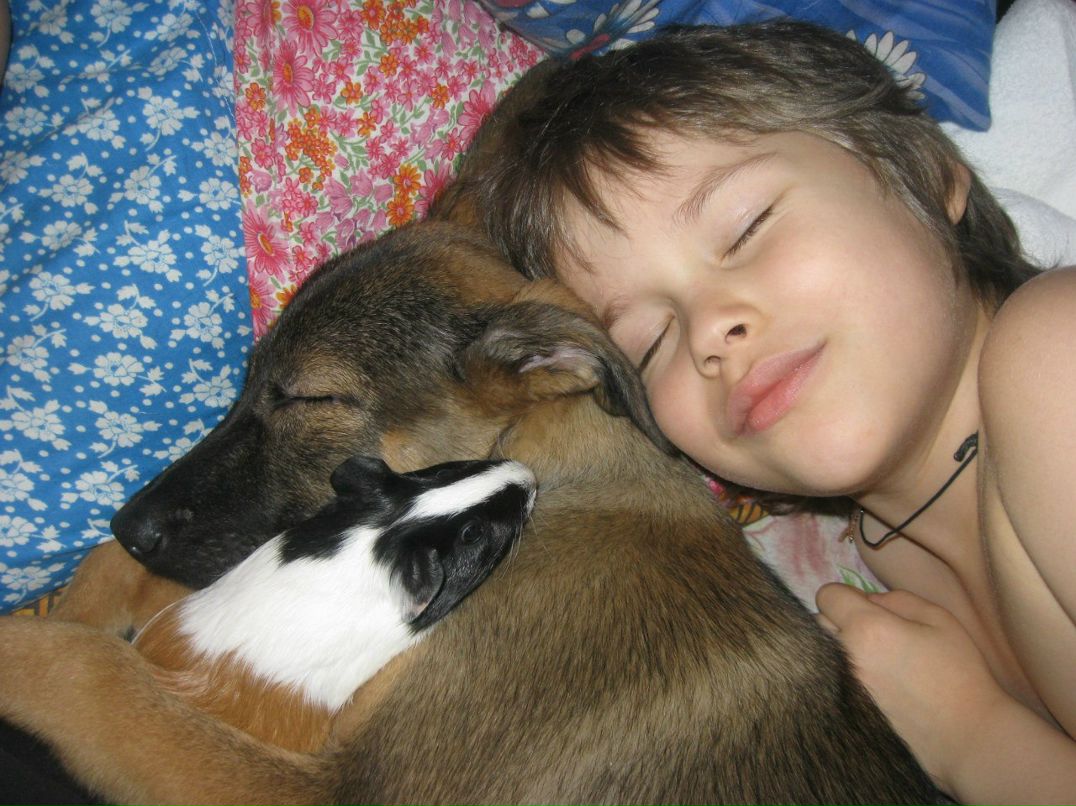 Ирина Зарицкая | Миргород