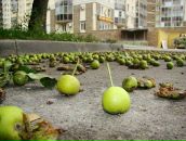 №4 Тата Федулова 27.02.1989: профиль, фото, статус - ВКонтакте №4 Тата Федулова 27.02.1989: профиль, фото, статус - ВКонтакте