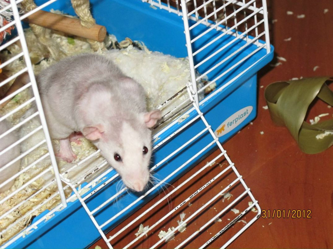 Анастасия Кучукова Zam-Zam | Москва