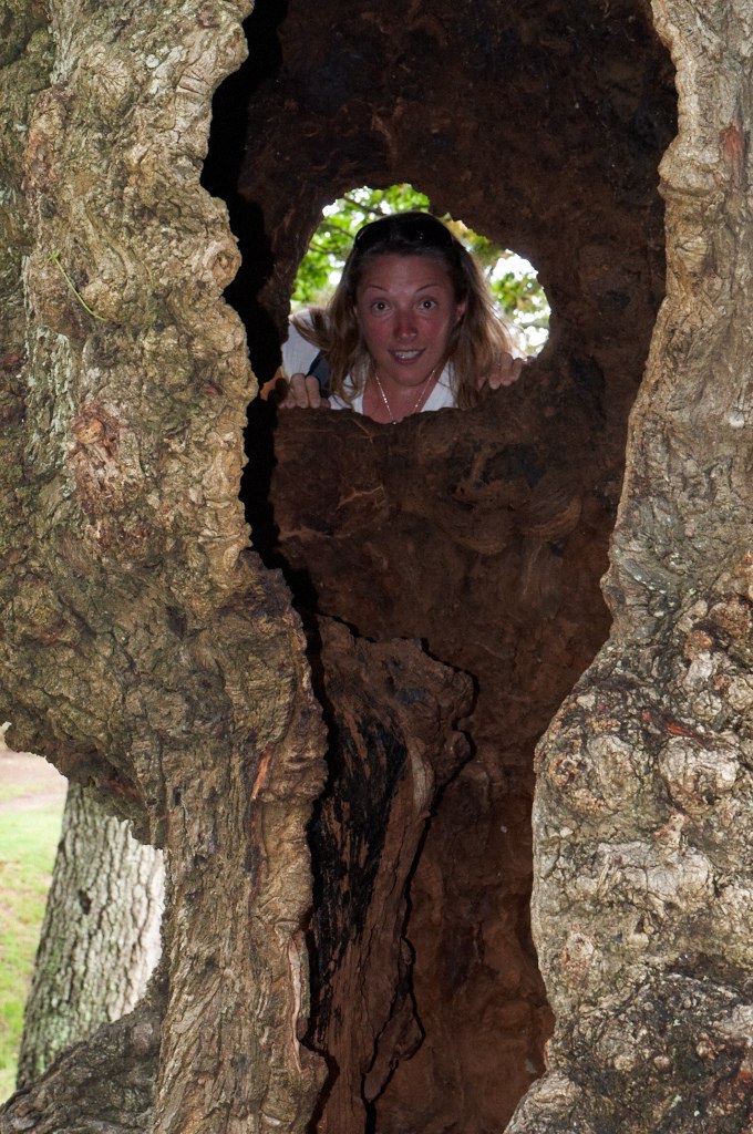 Светлана Сеничева | Москва