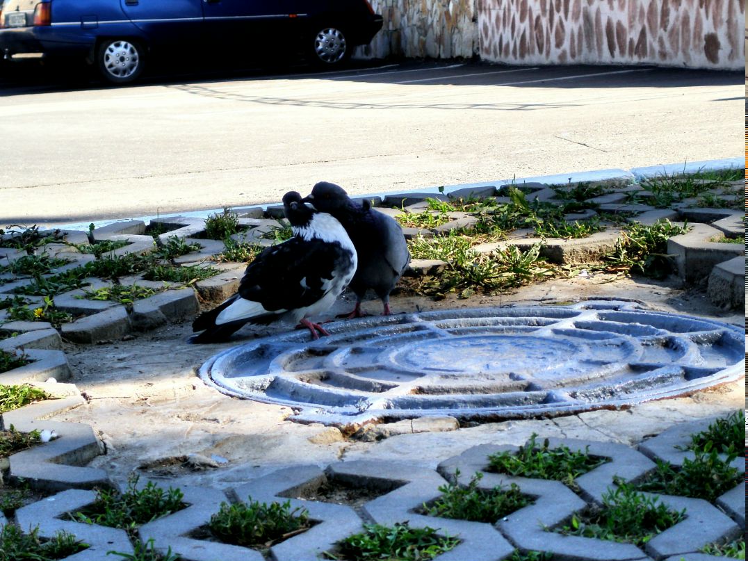 Андрей Мелехов | Одесса