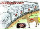 Фотография Nikita Kiro
