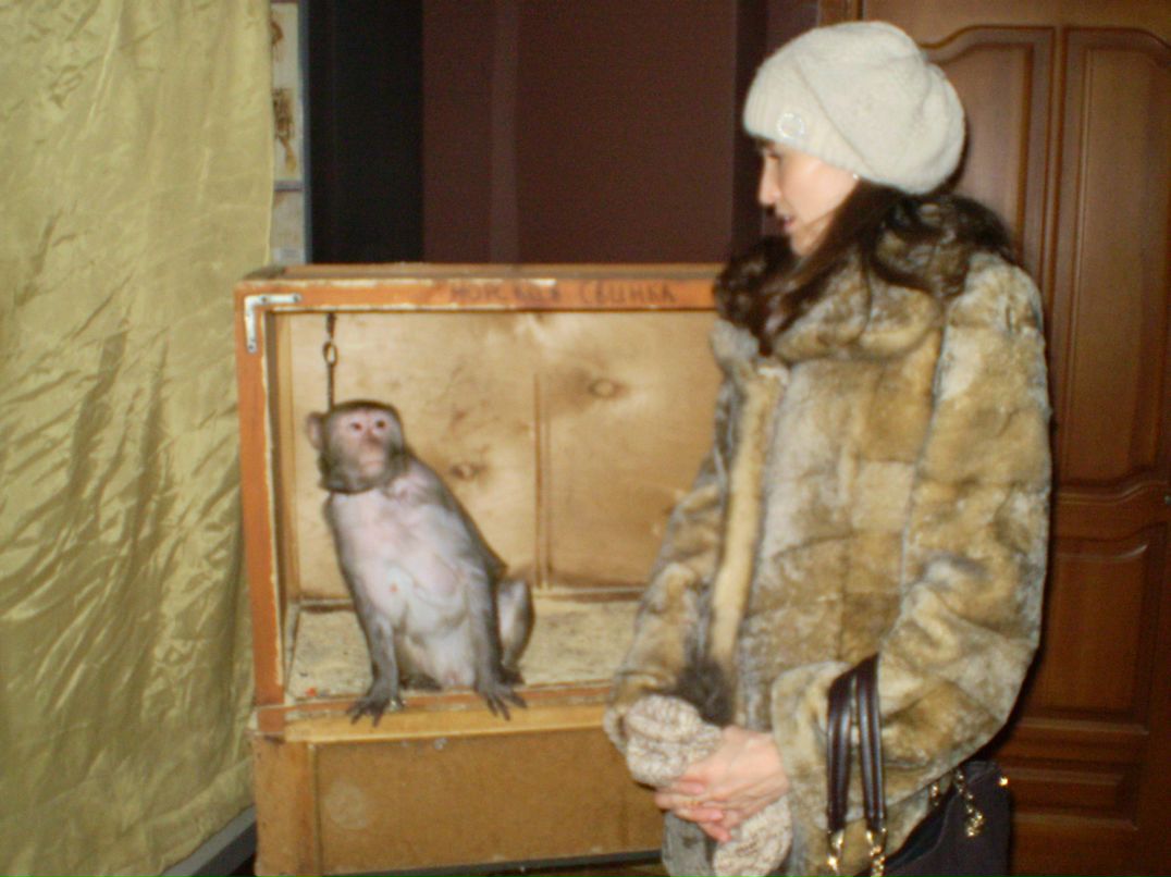 Альфия Усманова | Стерлитамак