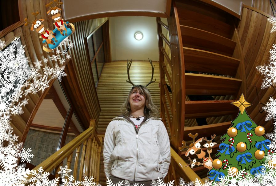 №97, Виктория Коппель, Алматы №97, Виктория Коппель, Алматы