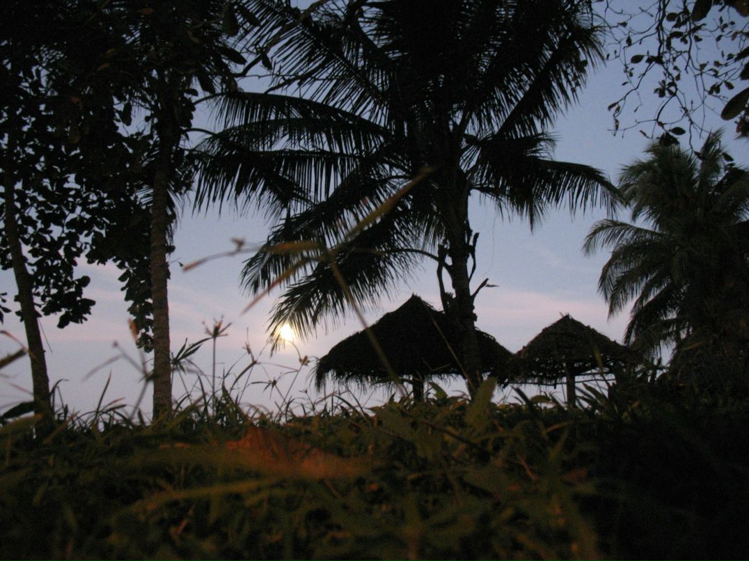 Евгений Диаченко 