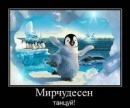 Фотография Вишневской Ольги