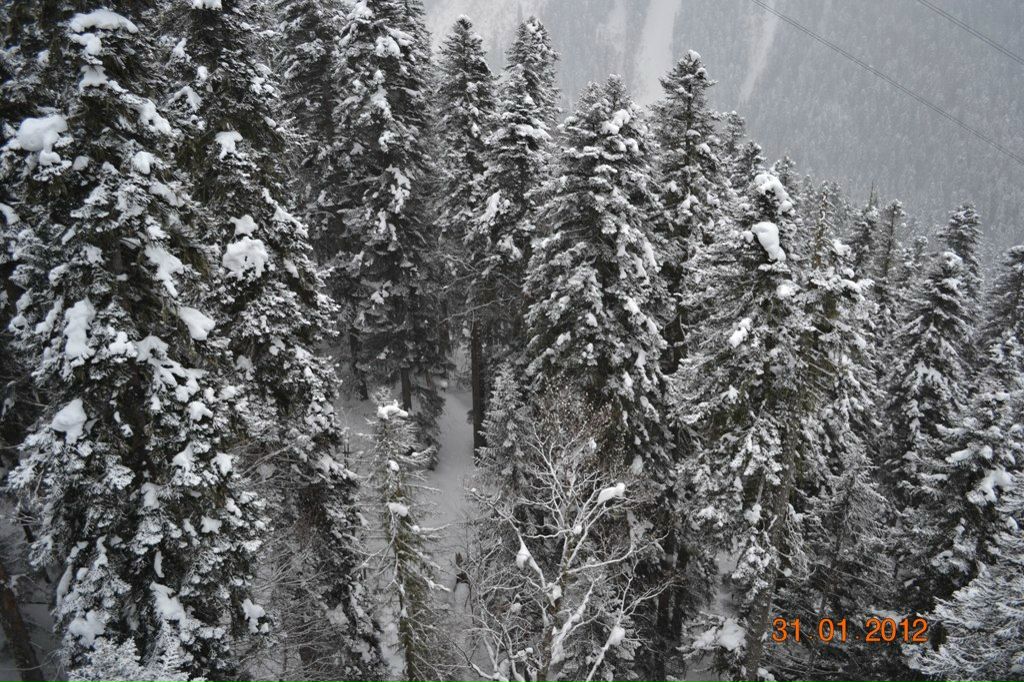 Виталий Кудашев | Новочеркасск