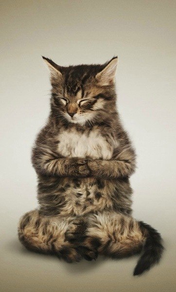 Сергей Се | Южно-Сахалинск