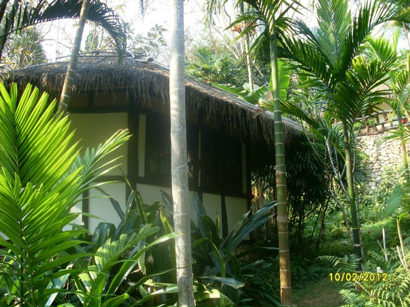 Евгений Чвелёв | Новосибирск