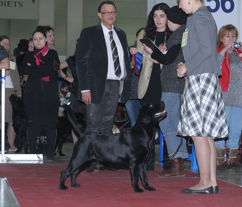 Оксана Омельченко | Челябинск