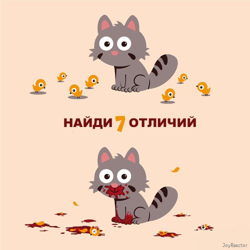 Анастасия Сыркина | Санкт-Петербург