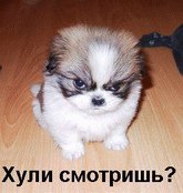 Оксана Мигунова | Самарское