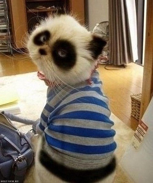 Константин Акимкин | Санкт-Петербург