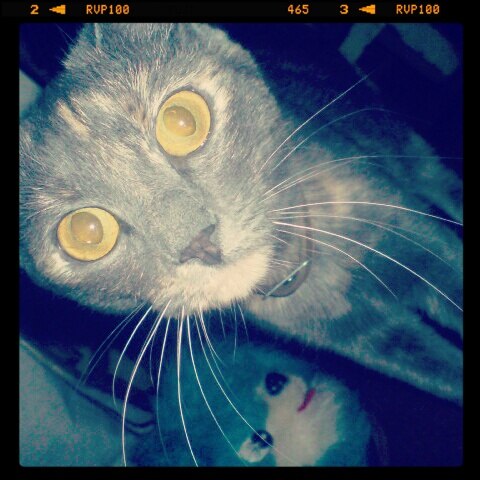 Рома Сабанеев | Одесса