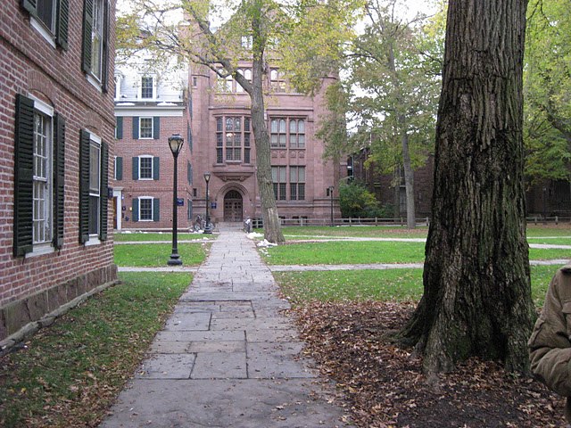 Ирина Павлова | Москва