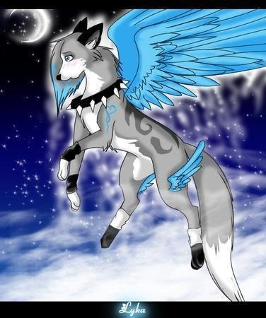 Вика Сидорова | Архангельск