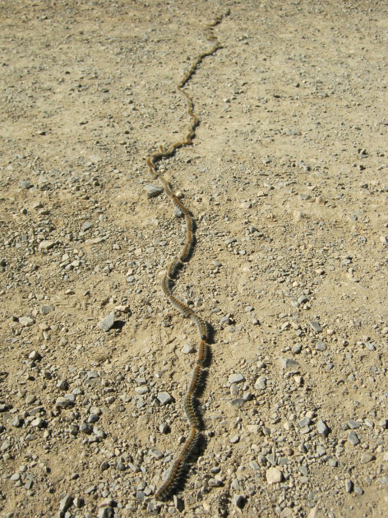 Евгений Козырин | Екатеринбург