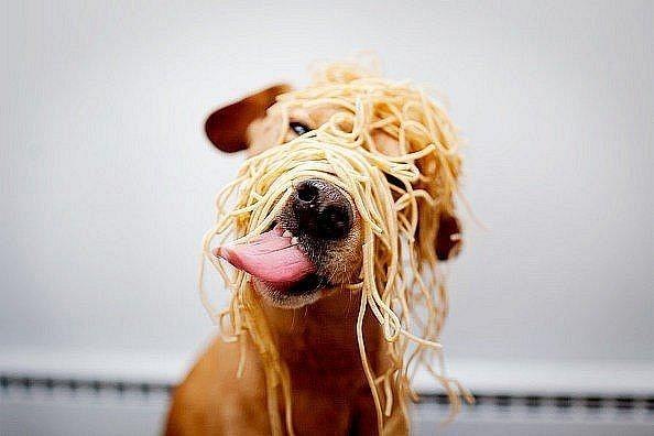 Andy Bibski Бульон | Киев